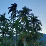 Suites Joao E Maria Quarto 04